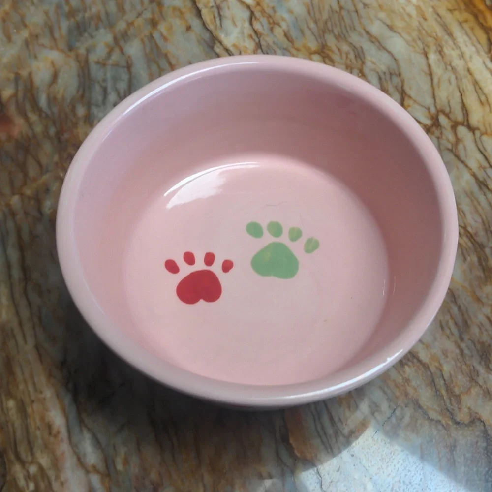 CASA VERO Cat Dog Food Bowl